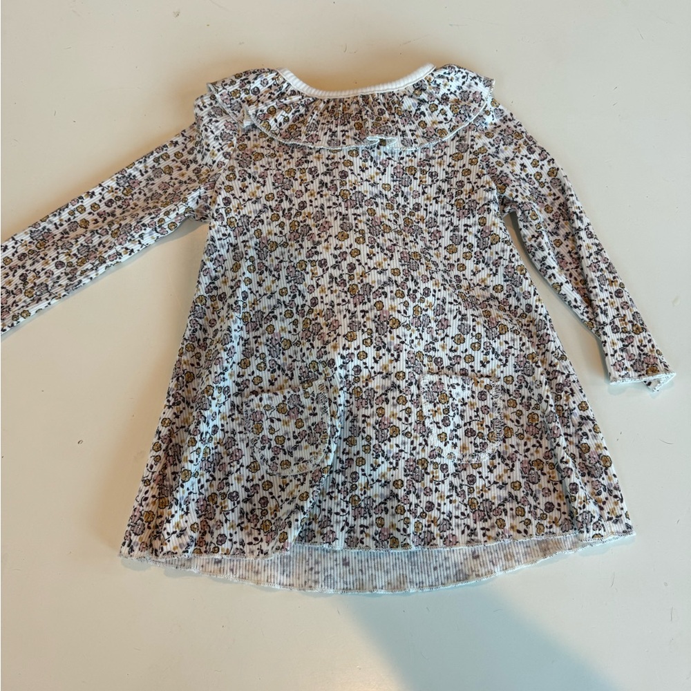 Modern Momenta Dress 18 mos